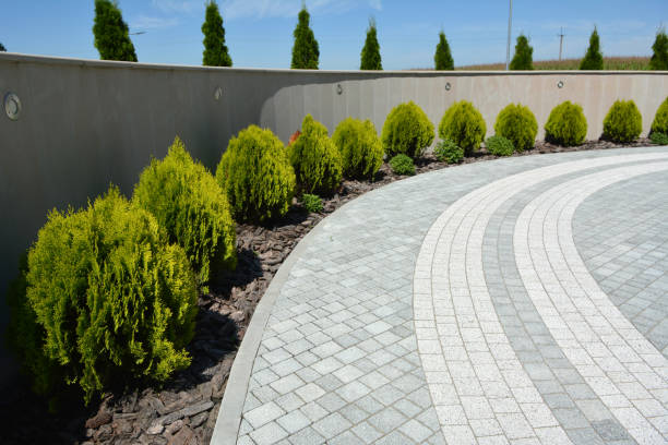 Best Driveway Paving Contractor  in Springfield, NJ